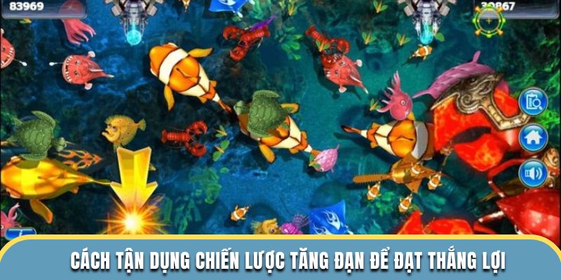 Cách tận dụng chiến lược tăng đạn để đạt thắng lợi 
