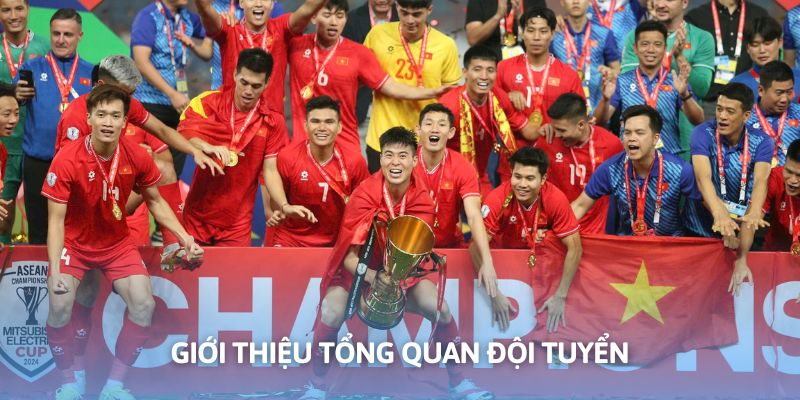 Giới thiệu đôi nét về đội bóng quốc gia trên trang WW88
